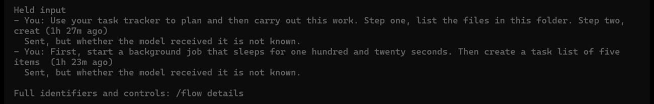 /flow showing held input that may not have reached the model